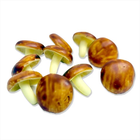 Realistic Brown Mushroom